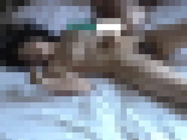 [Image: 36-1576424124-15308754.jpg]