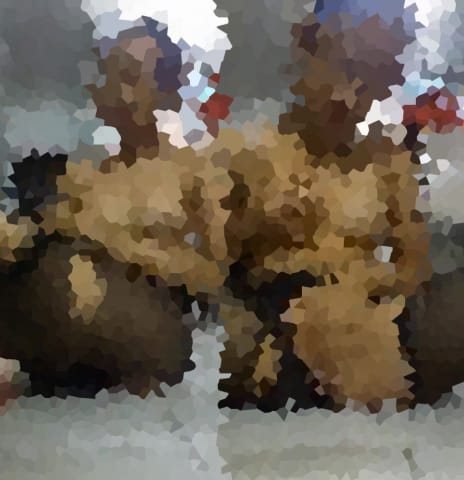 [Image: 44-1630897614-15283963.jpg]