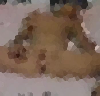 [Image: 87-1612431218-Ai228529.jpg]